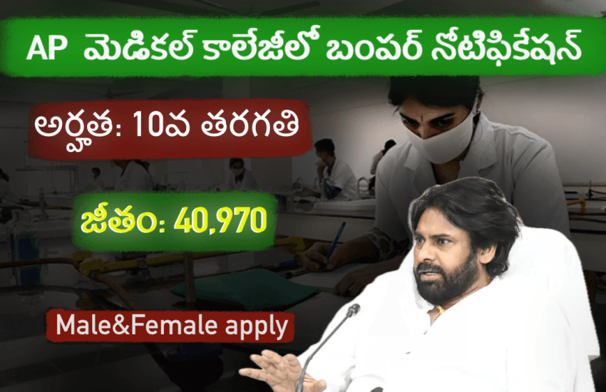 Latest govt jobs in ap