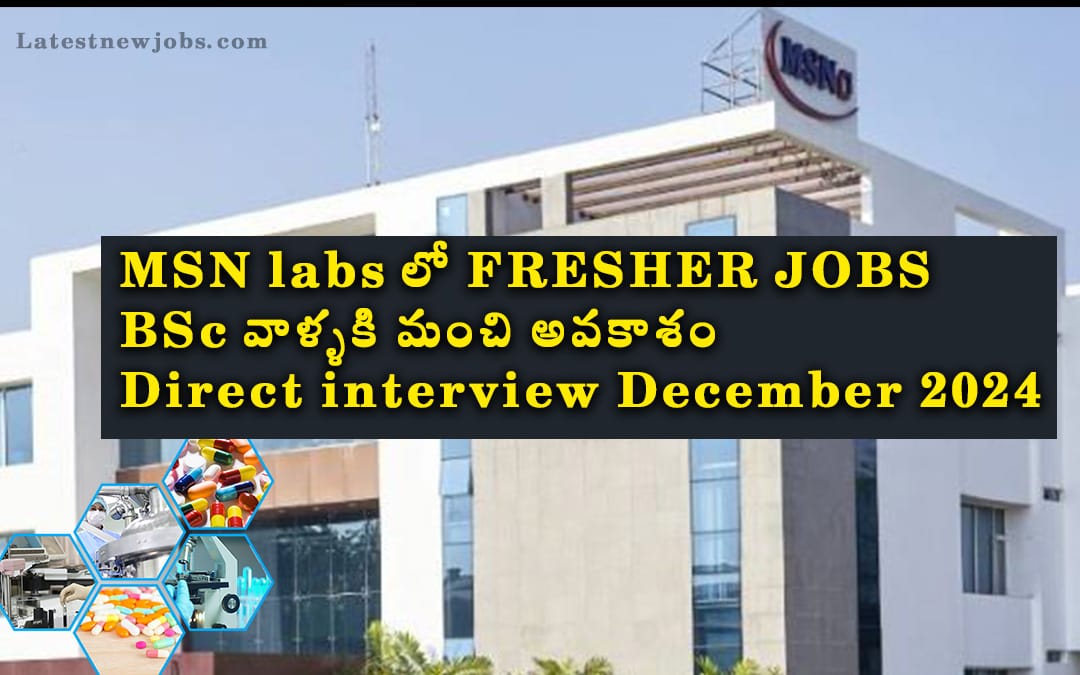 fresher jobs
